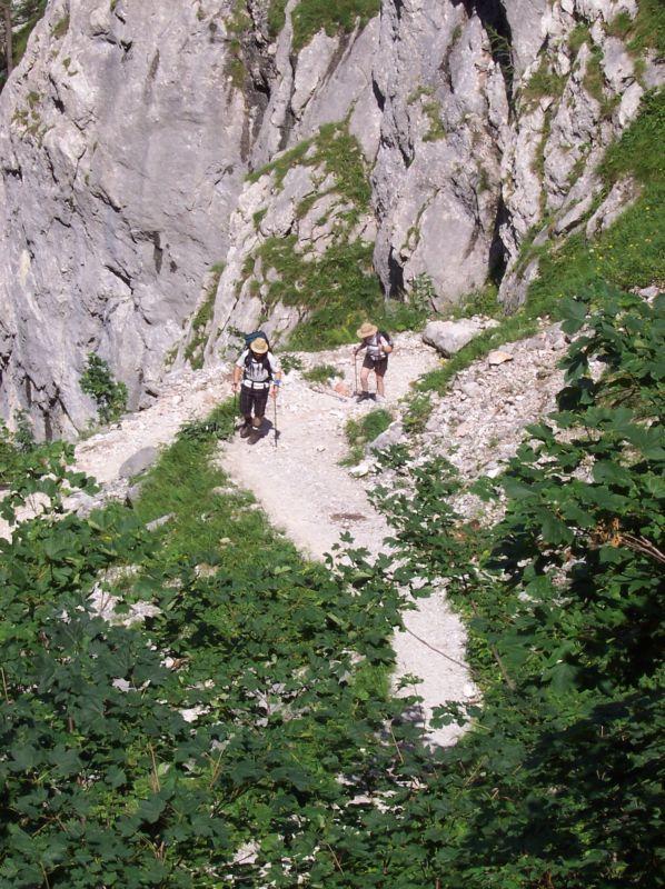 Bild vergr&ouml;ssern