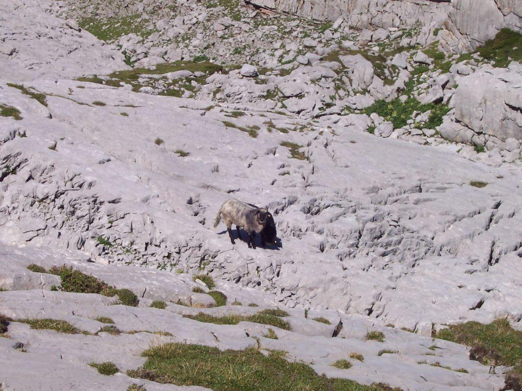 Bild vergr&ouml;ssern