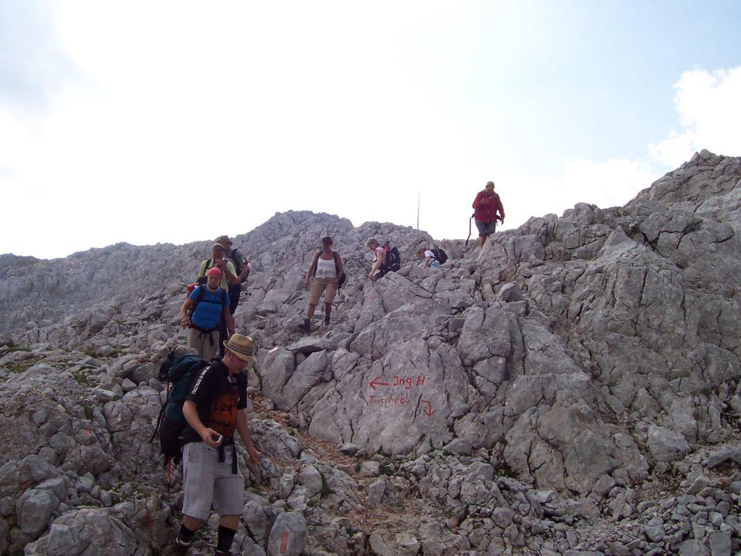 Bild vergr&ouml;ssern