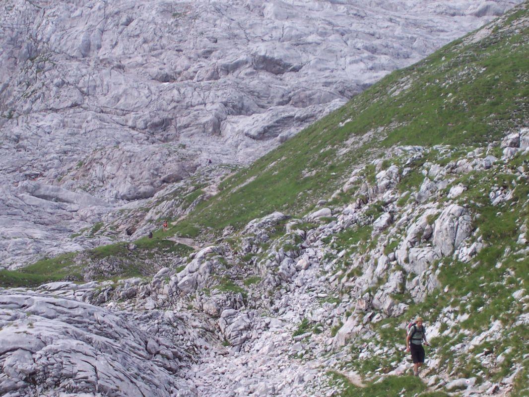 Bild vergr&ouml;ssern