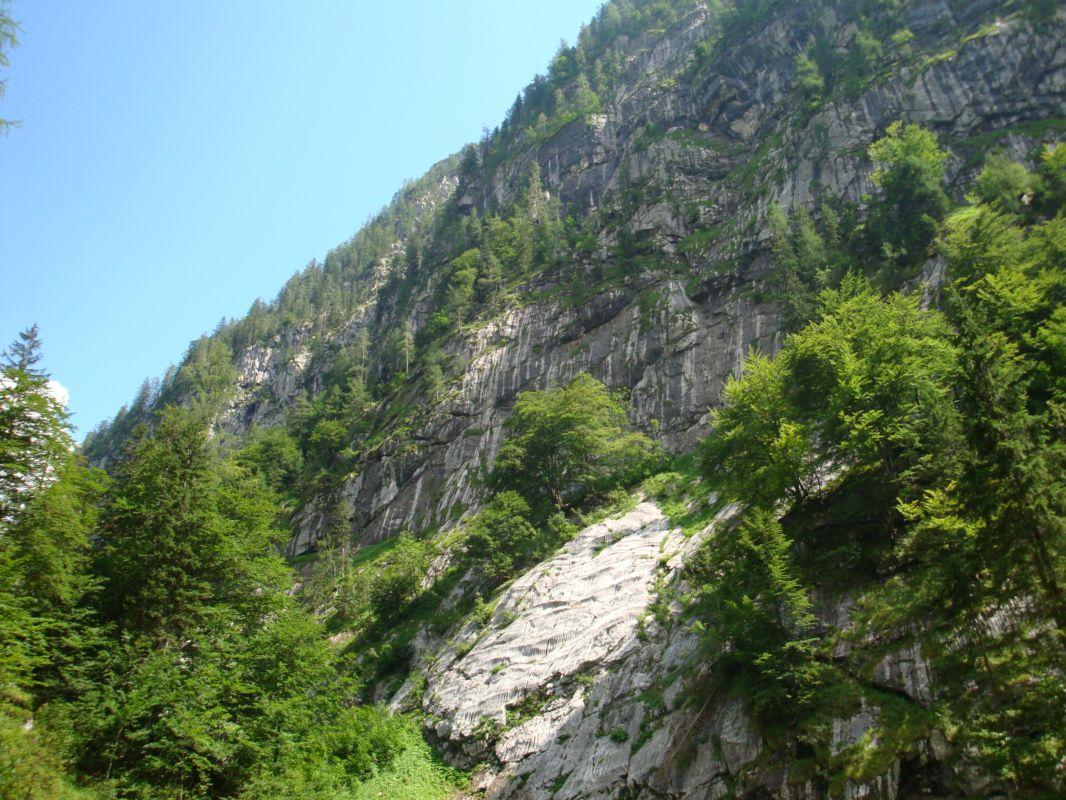 Bild vergr&ouml;ssern