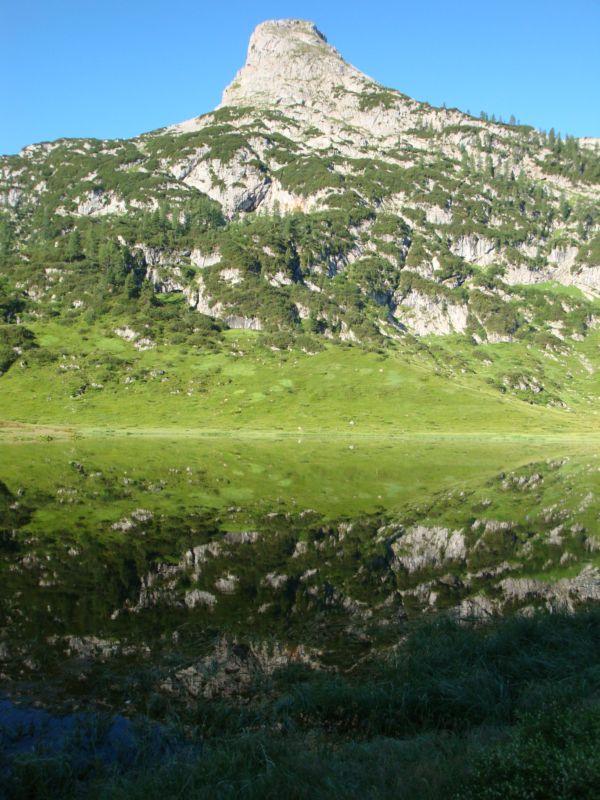 Bild vergr&ouml;ssern