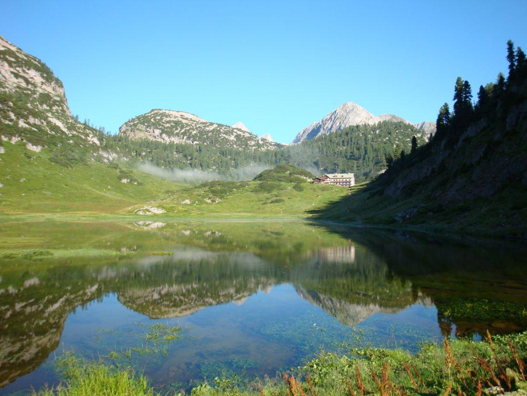 Bild vergr&ouml;ssern