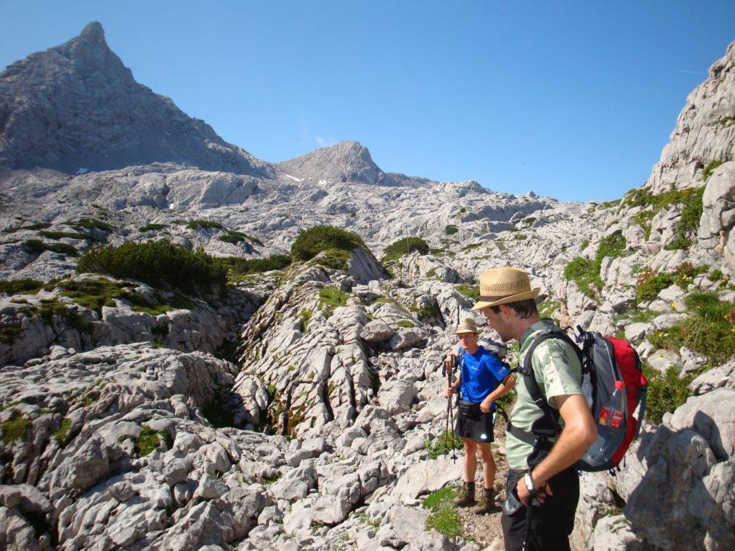 Bild vergr&ouml;ssern