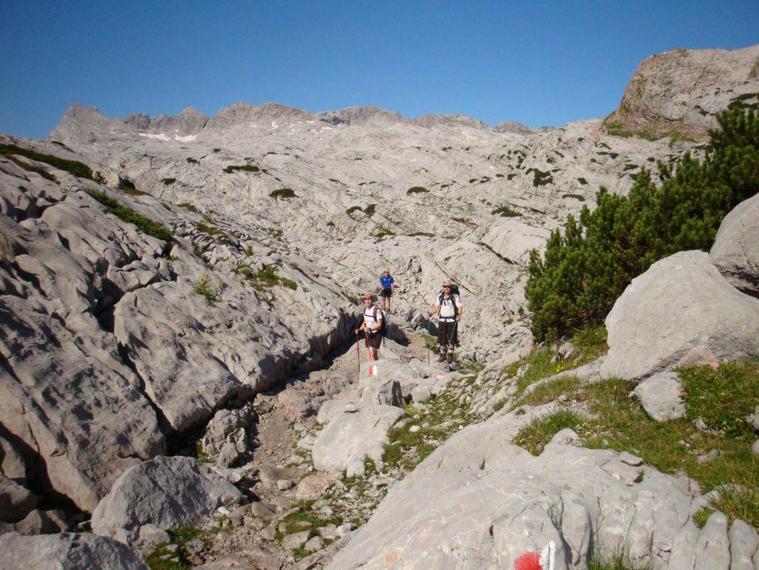 Bild vergr&ouml;ssern