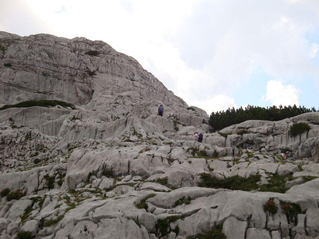 Bild vergr&ouml;ssern