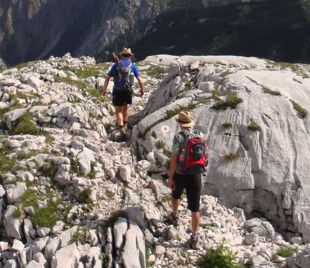 Bild vergr&ouml;ssern