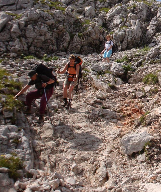 Bild vergr&ouml;ssern