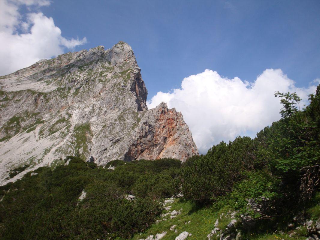 Bild vergr&ouml;ssern