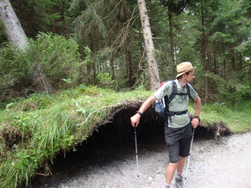 Bild vergr&ouml;ssern