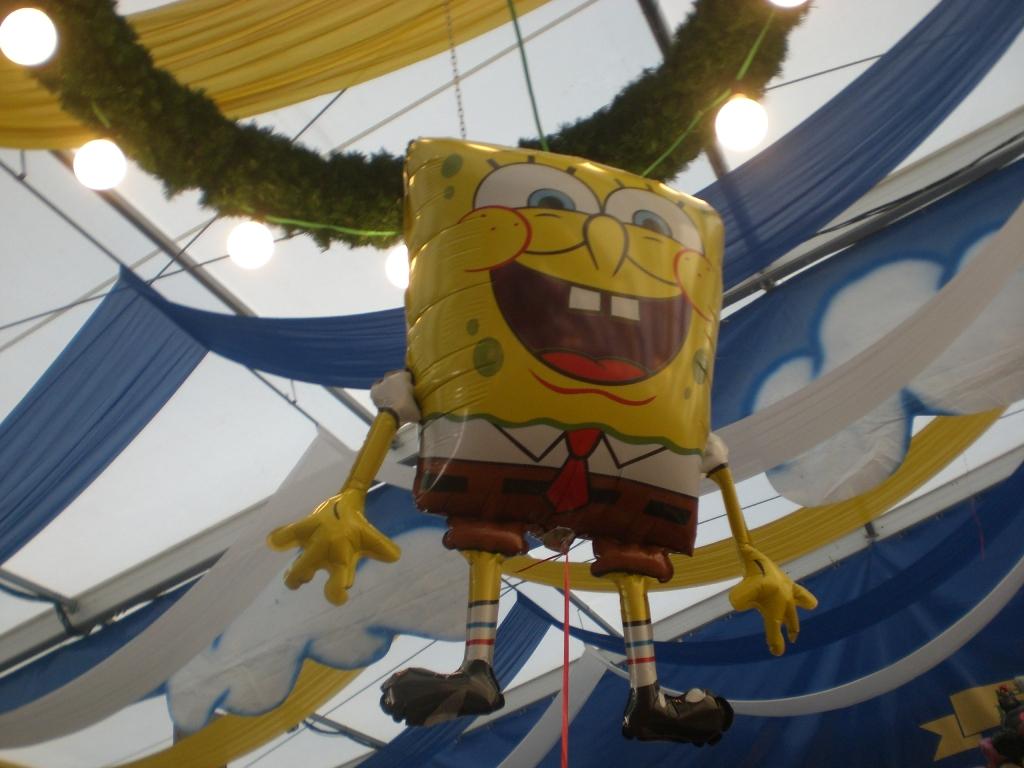 Bild vergr&ouml;ssern