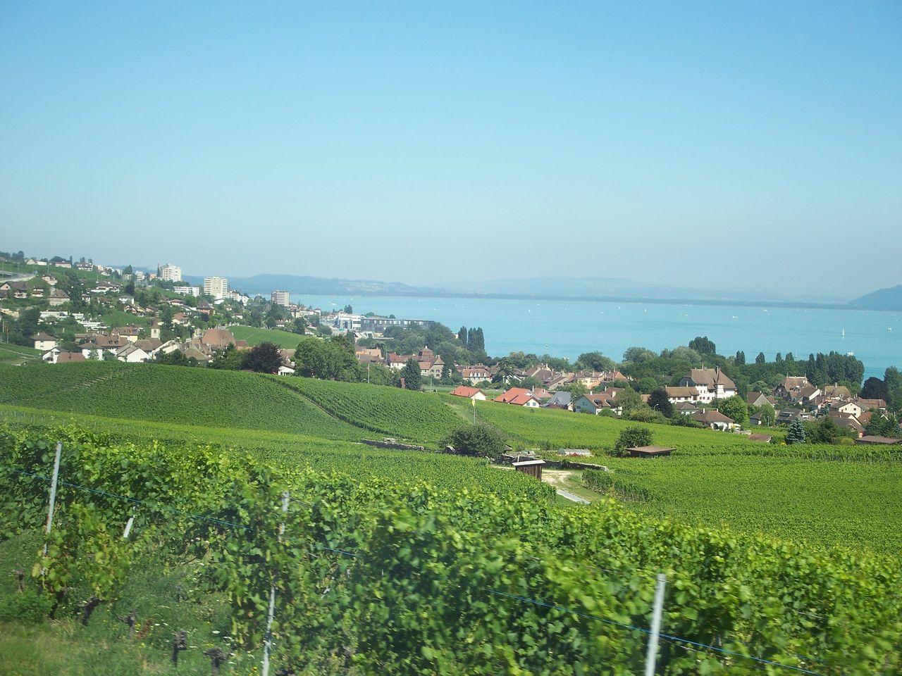 Bild vergr&ouml;ssern