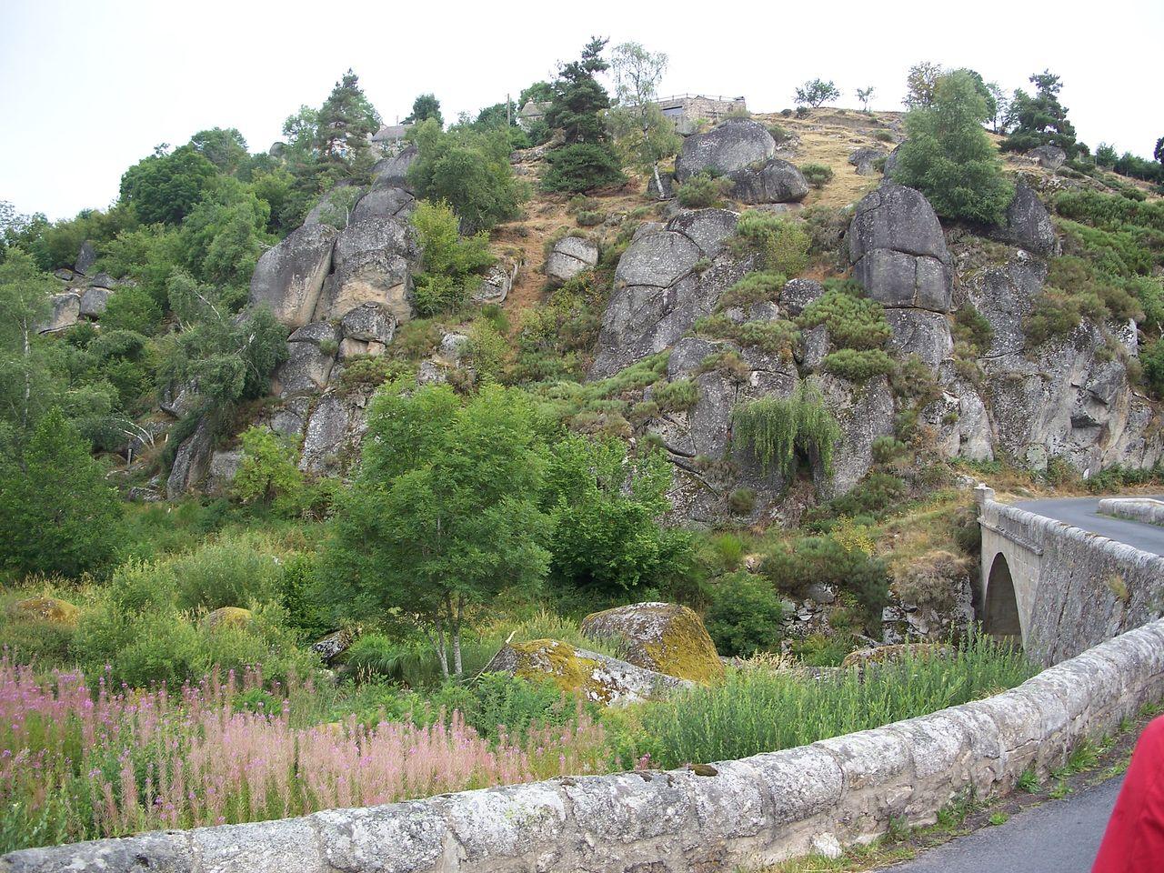 Bild vergr&ouml;ssern