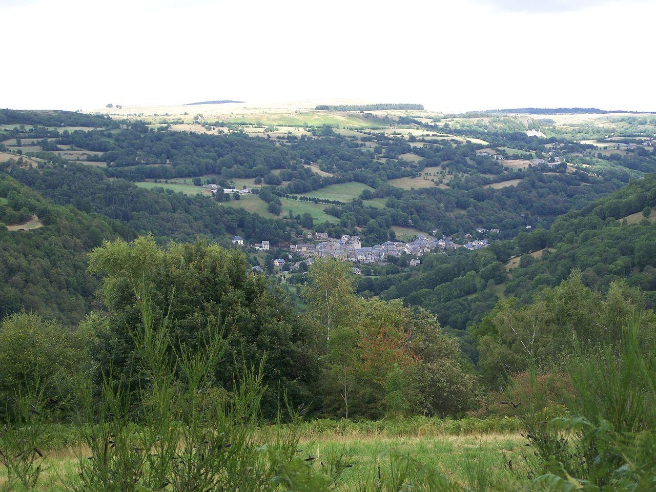 Bild vergr&ouml;ssern