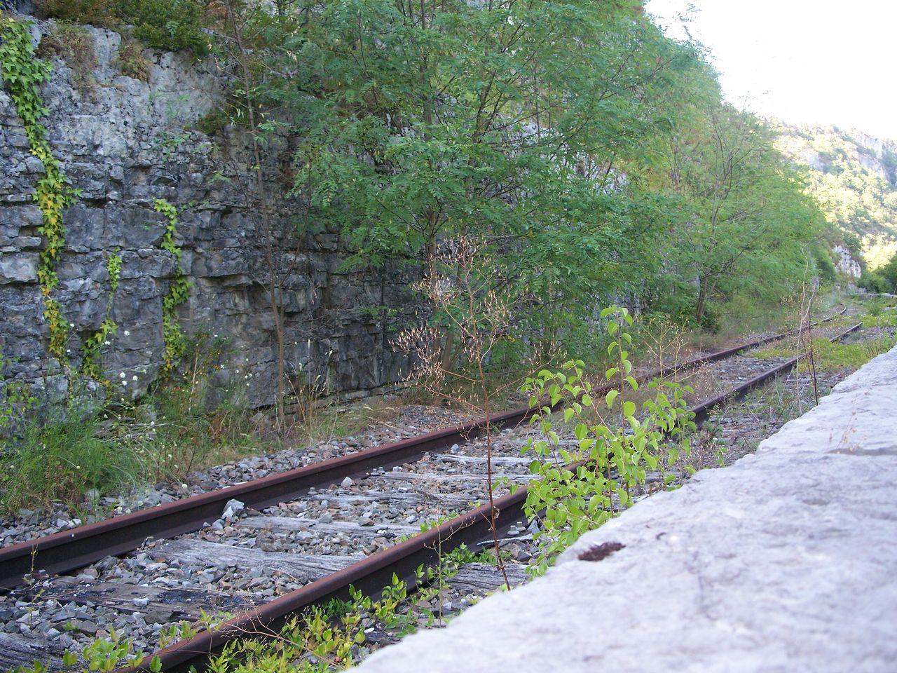 Bild vergr&ouml;ssern