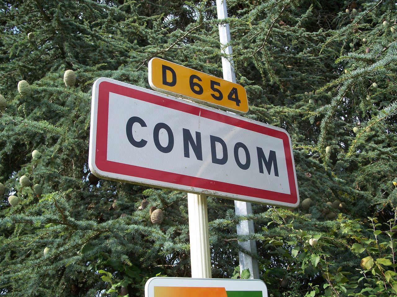 Bild vergr&ouml;ssern