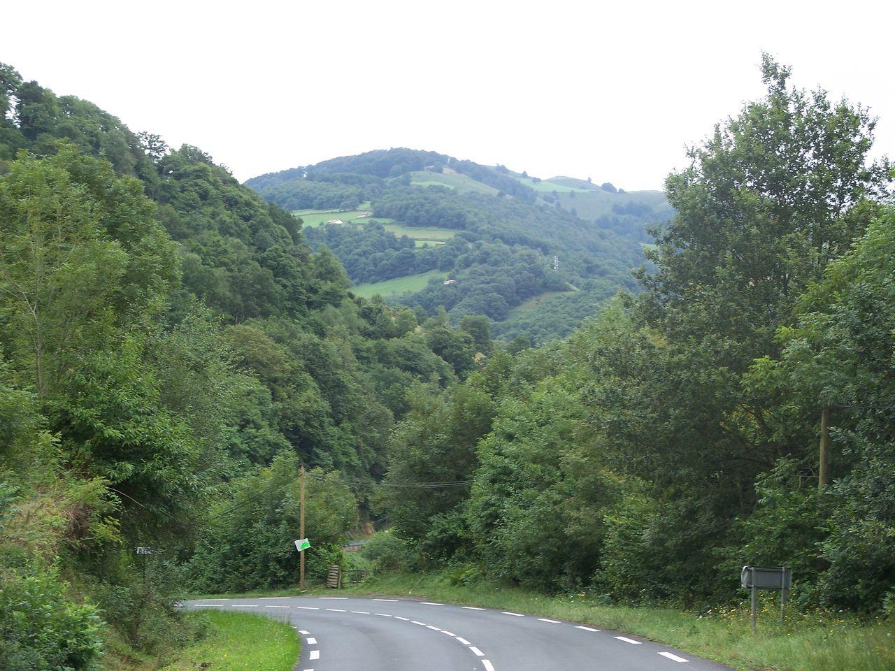 Bild vergr&ouml;ssern