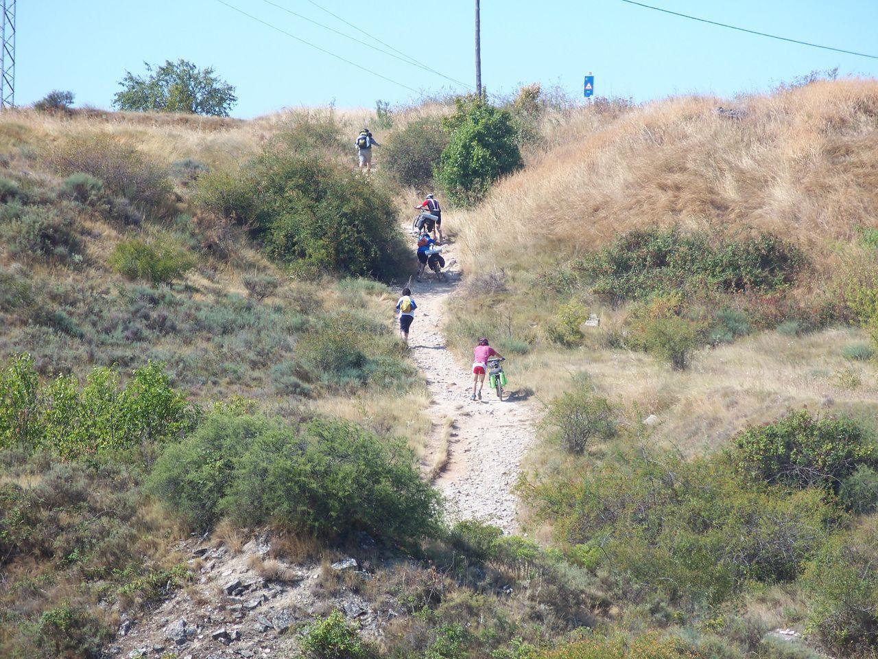 Bild vergr&ouml;ssern