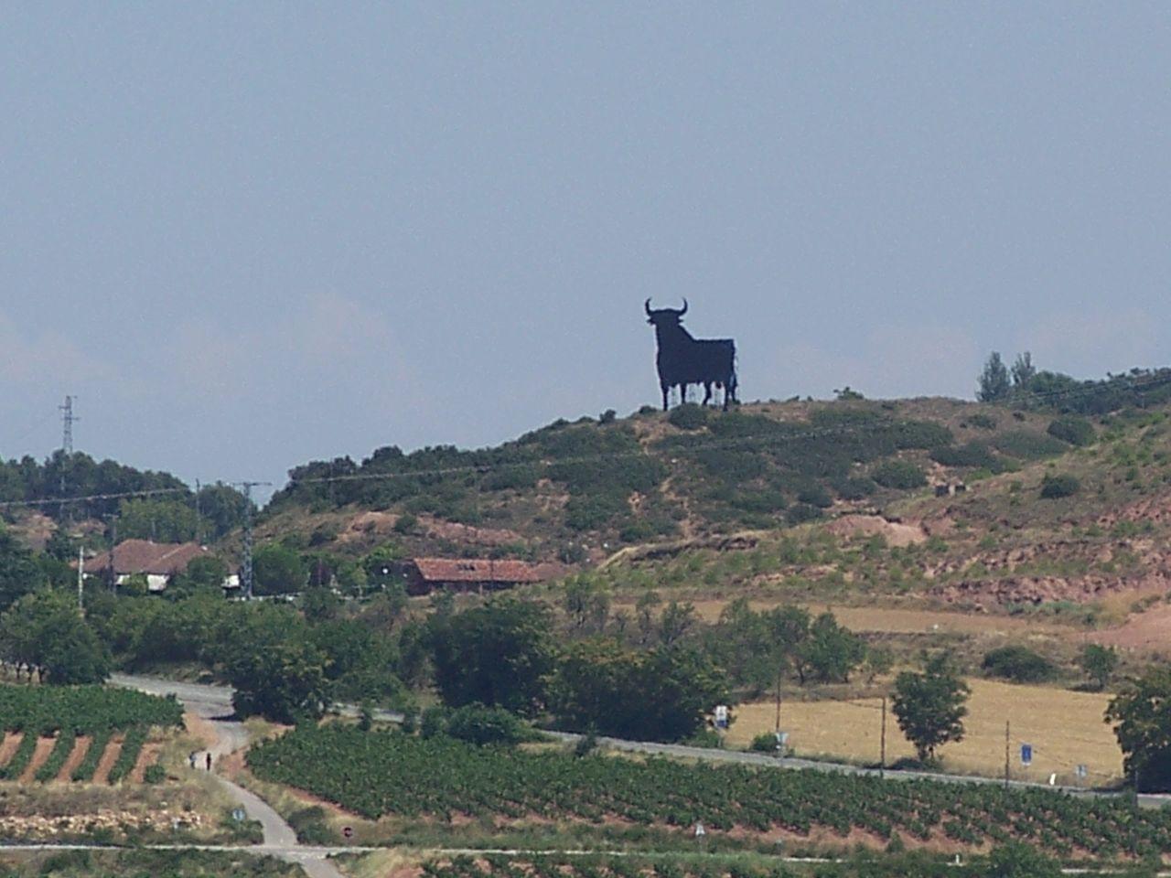 Bild vergr&ouml;ssern