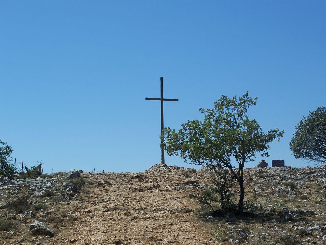 Bild vergr&ouml;ssern