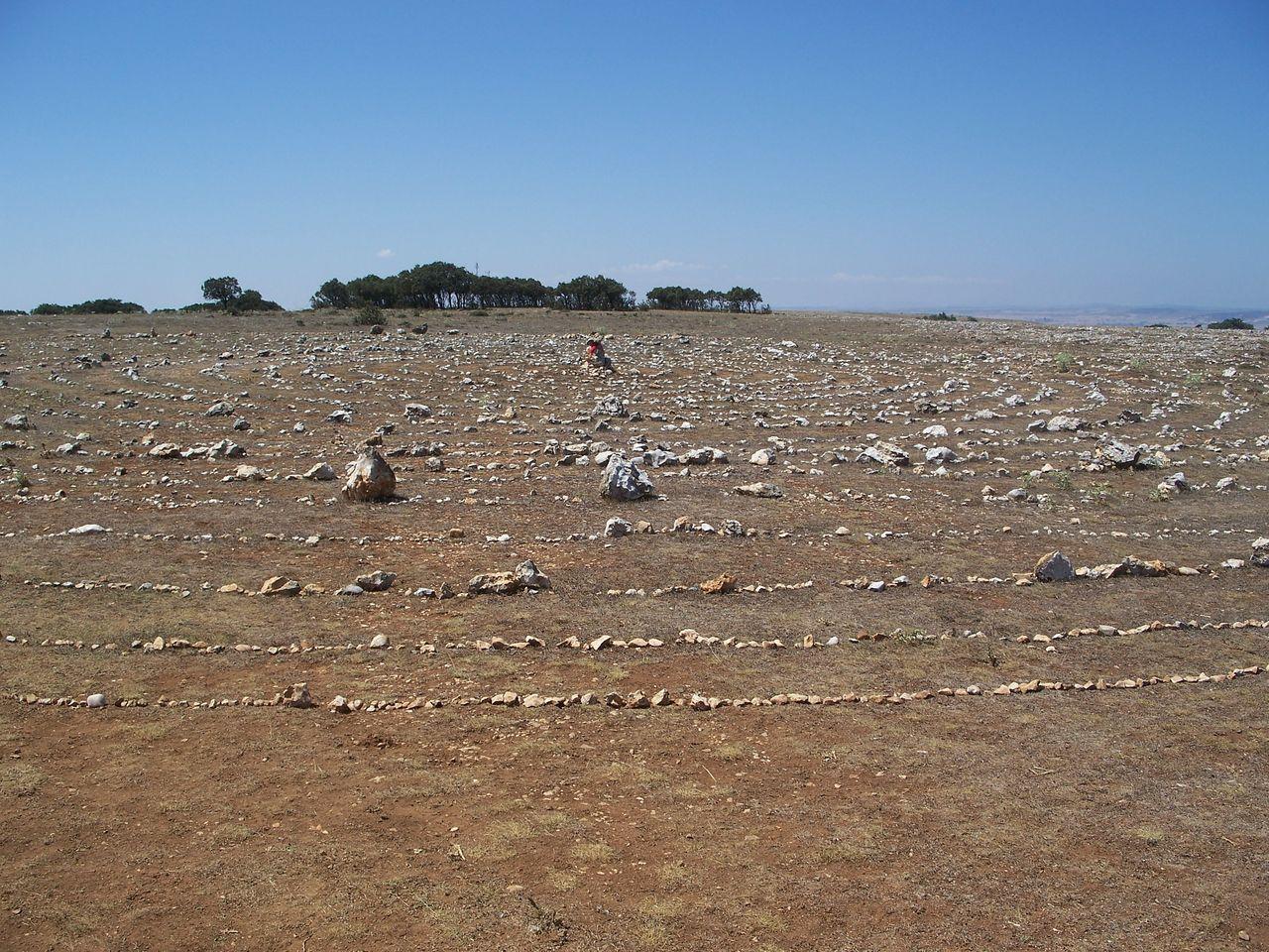 Bild vergr&ouml;ssern