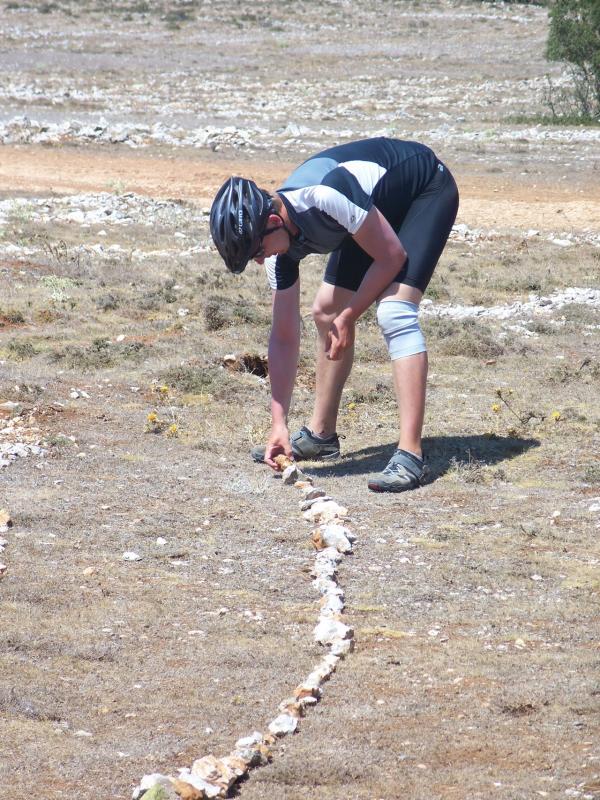 Bild vergr&ouml;ssern