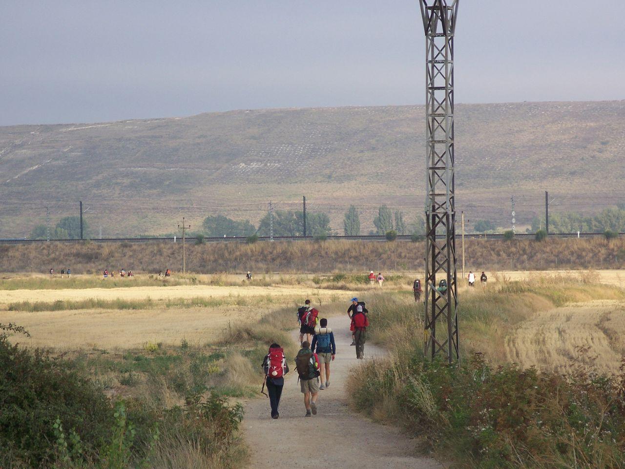 Bild vergr&ouml;ssern