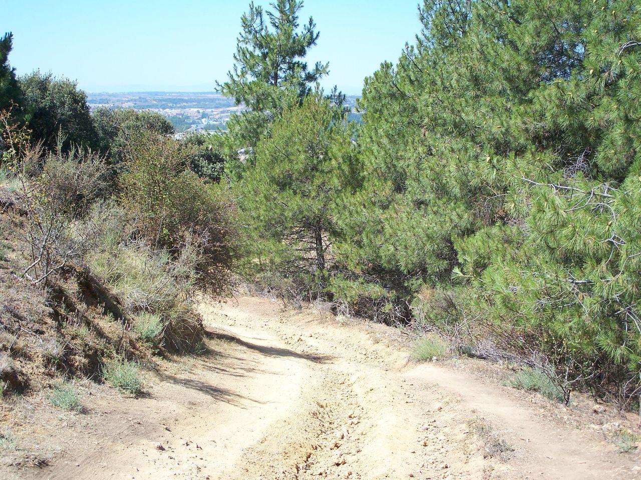 Bild vergr&ouml;ssern