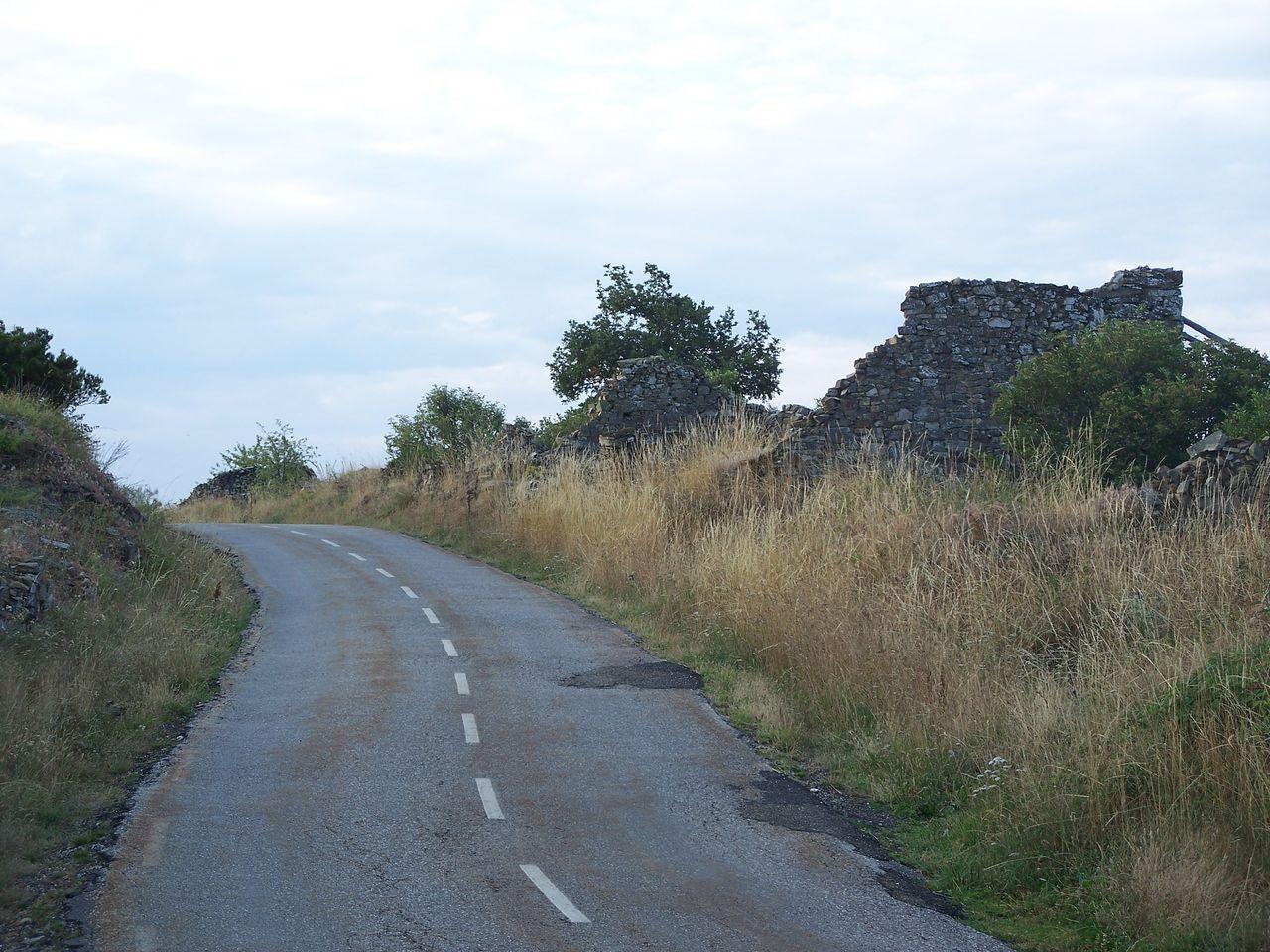 Bild vergr&ouml;ssern