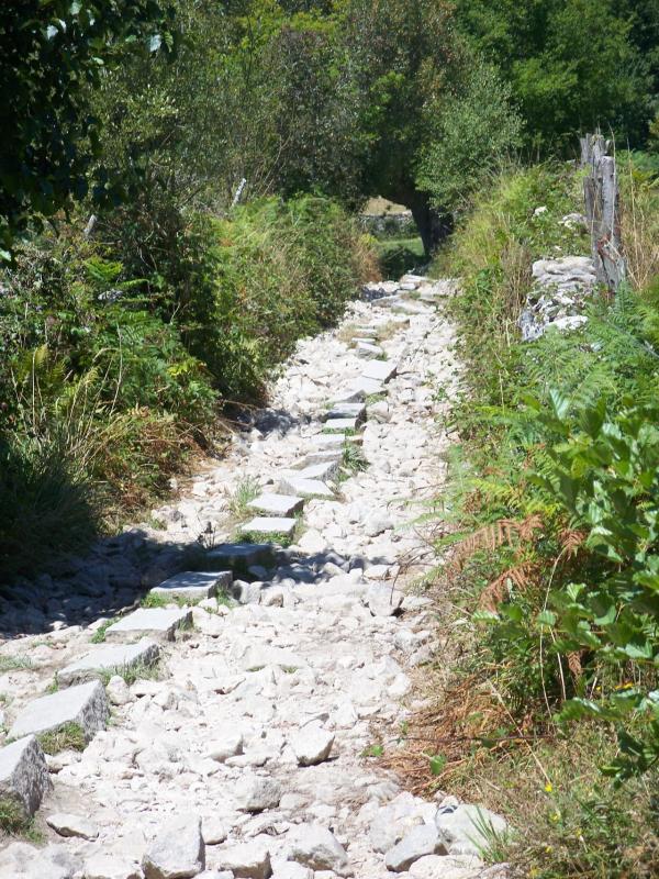 Bild vergr&ouml;ssern