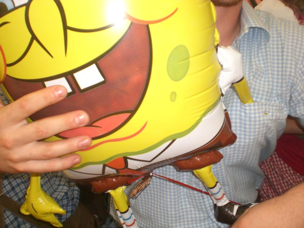 Bild vergr&ouml;ssern