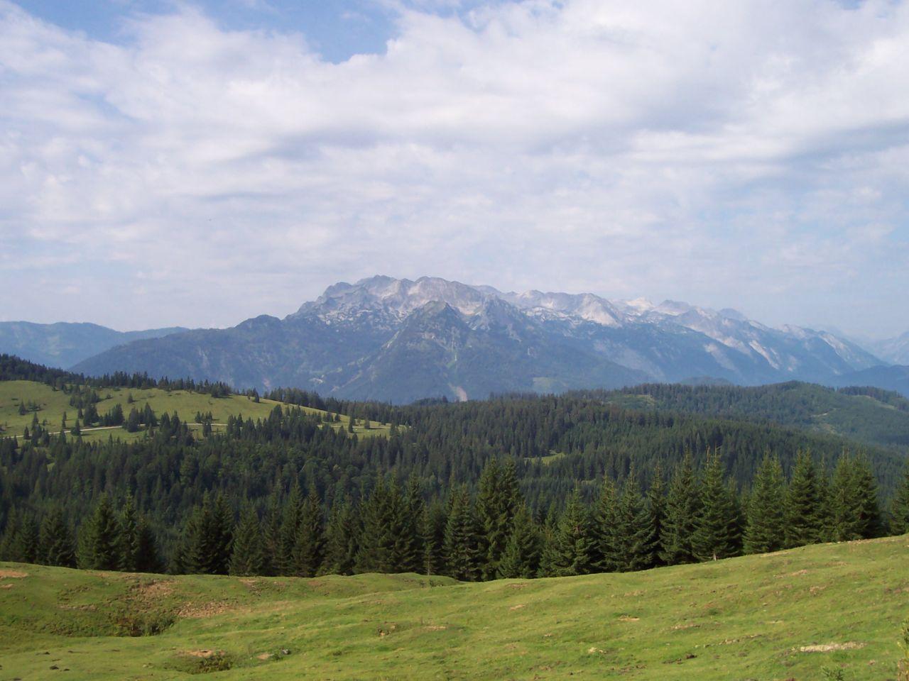 Bild vergr&ouml;ssern