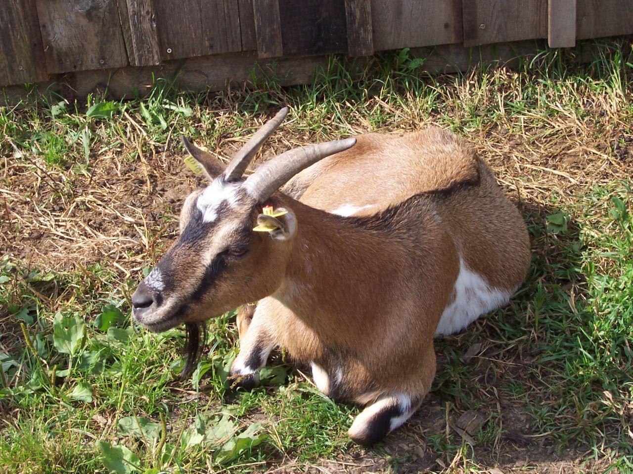 Bild vergr&ouml;ssern