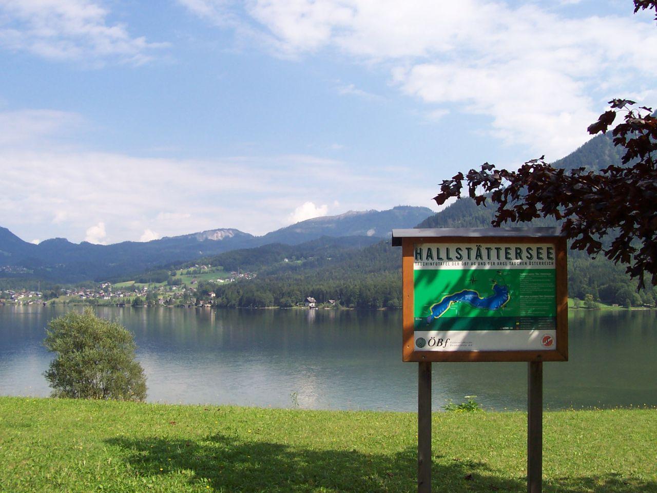 Bild vergr&ouml;ssern