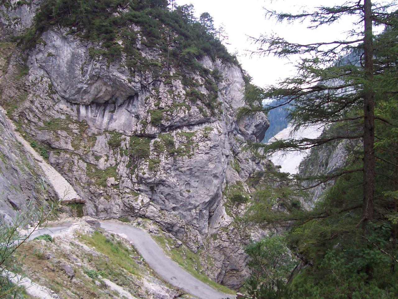 Bild vergr&ouml;ssern