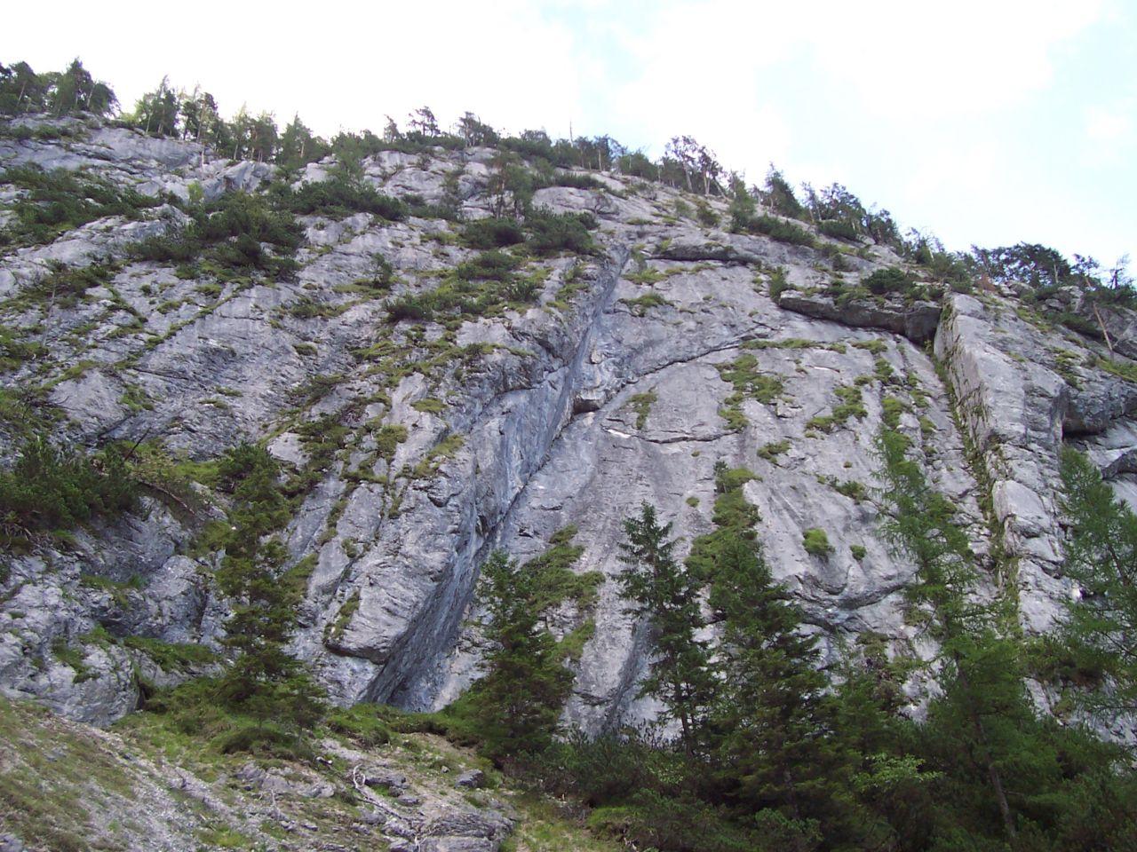 Bild vergr&ouml;ssern