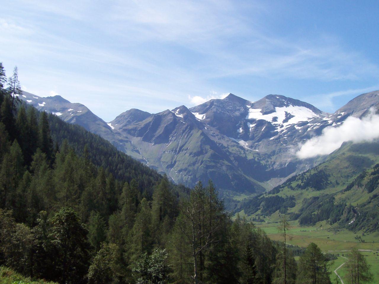 Bild vergr&ouml;ssern