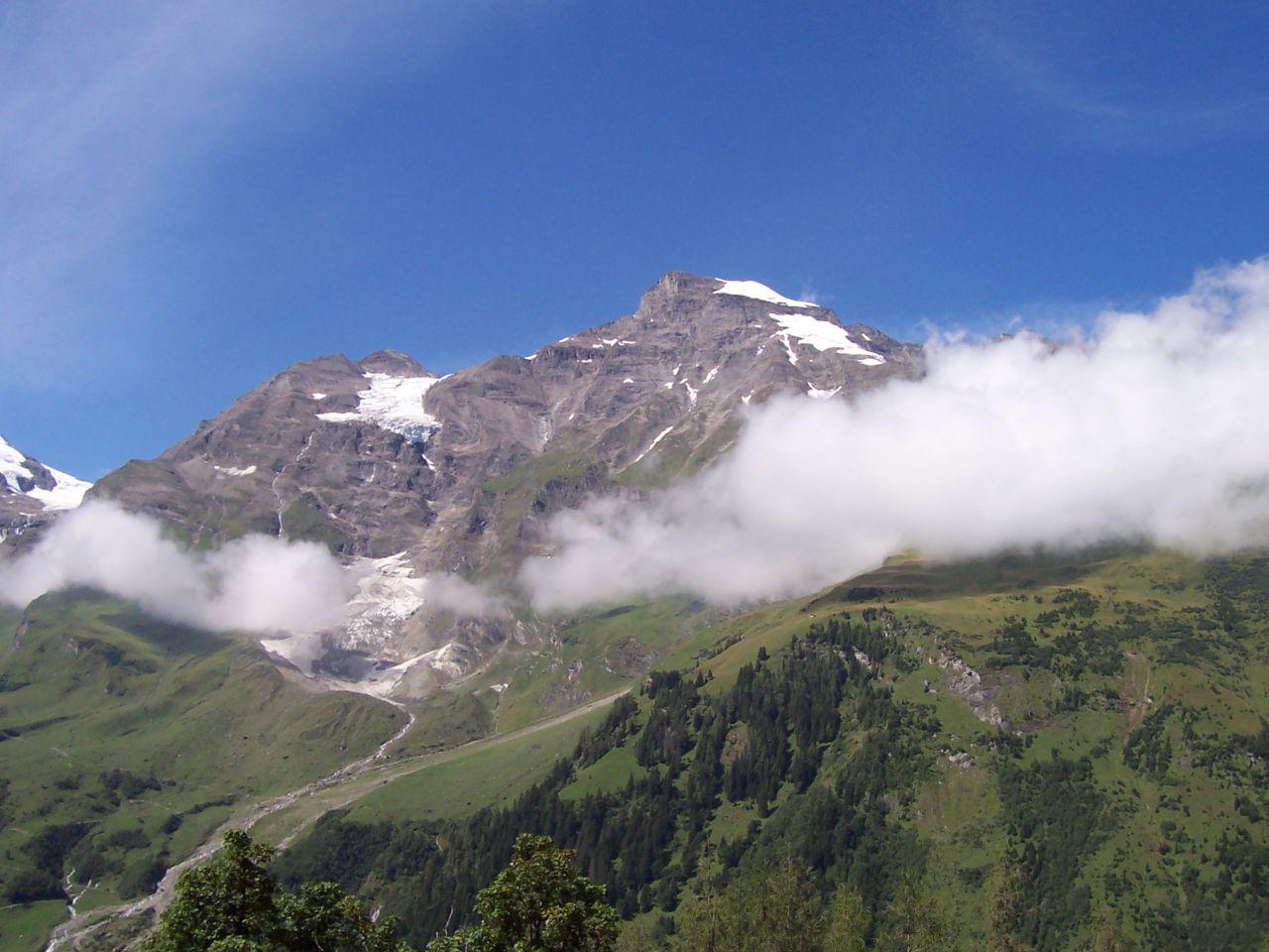 Bild vergr&ouml;ssern