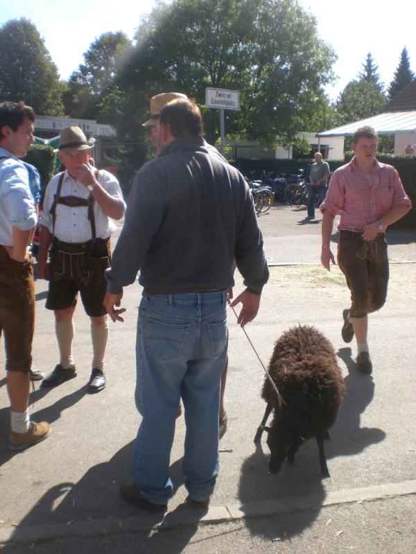 Bild vergr&ouml;ssern