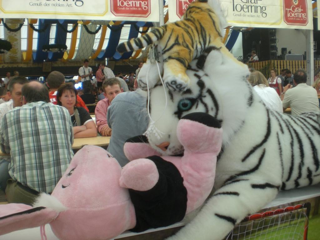 Bild vergr&ouml;ssern