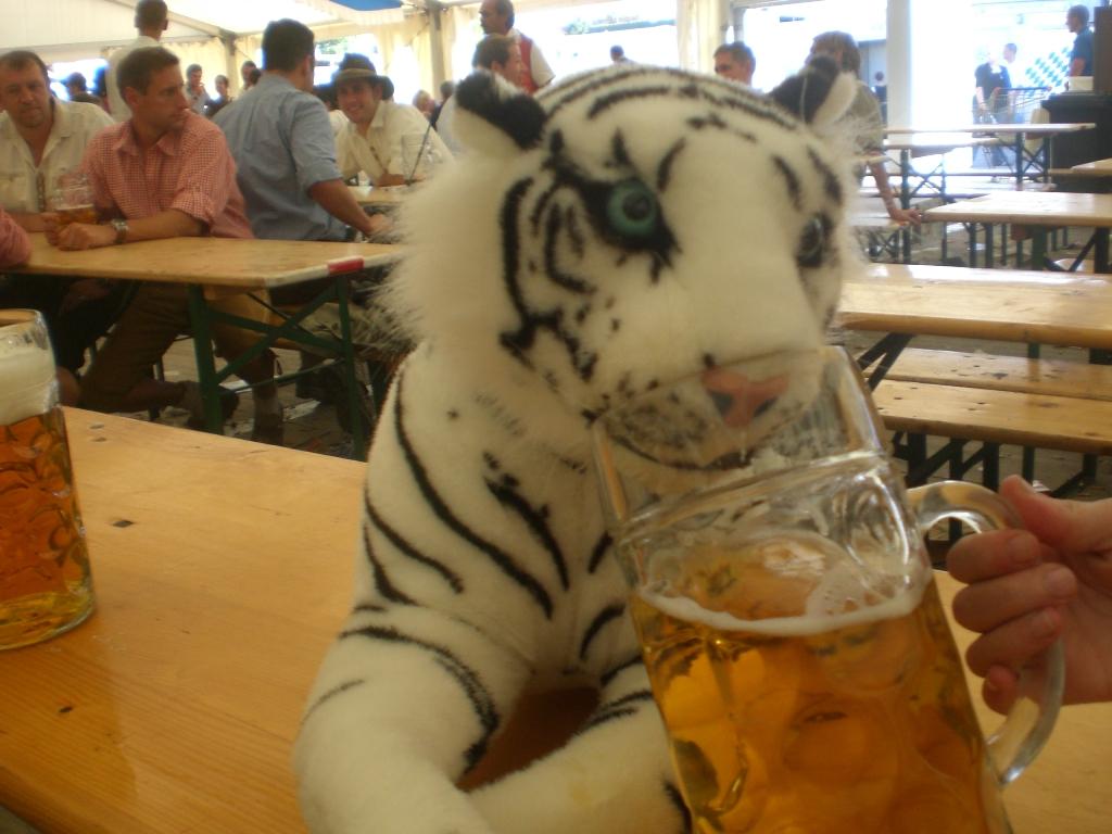 Bild vergr&ouml;ssern