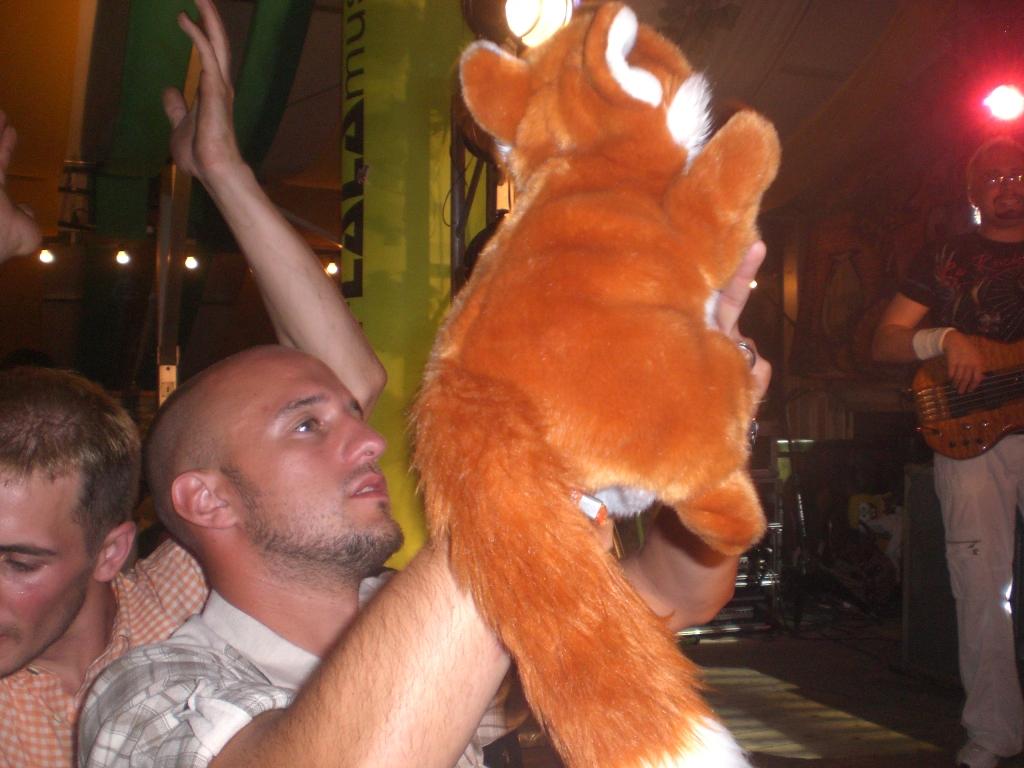 Bild vergr&ouml;ssern