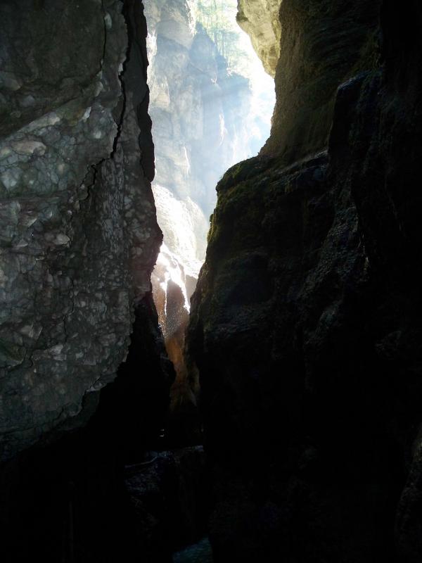 Bild vergr&ouml;ssern