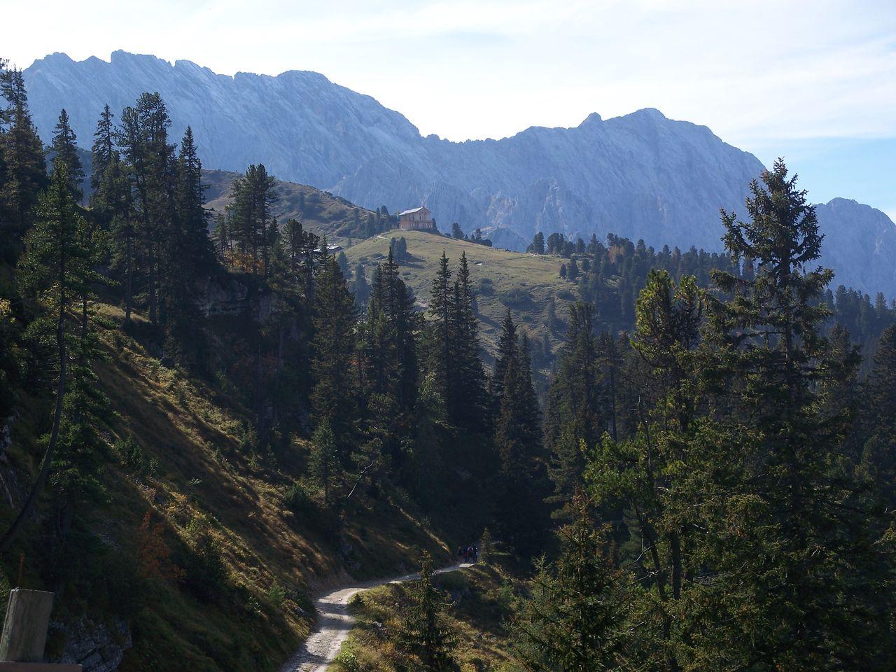 Bild vergr&ouml;ssern