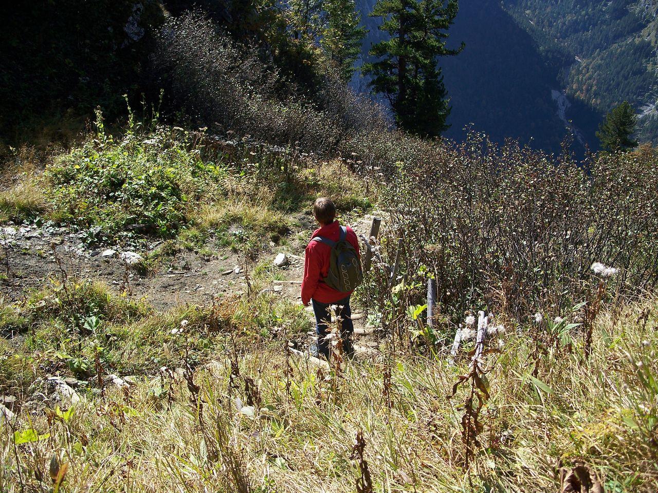 Bild vergr&ouml;ssern