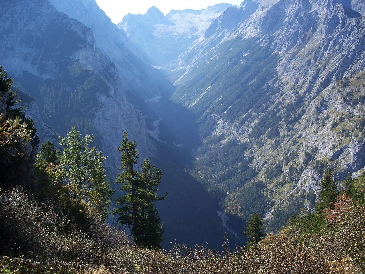 Bild vergr&ouml;ssern