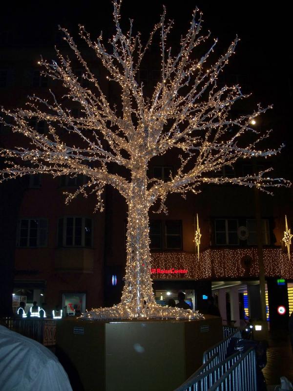 Bild vergr&ouml;ssern