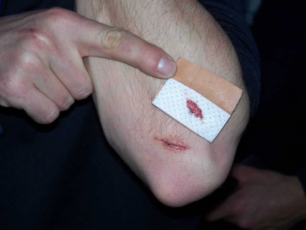 Bild vergr&ouml;ssern