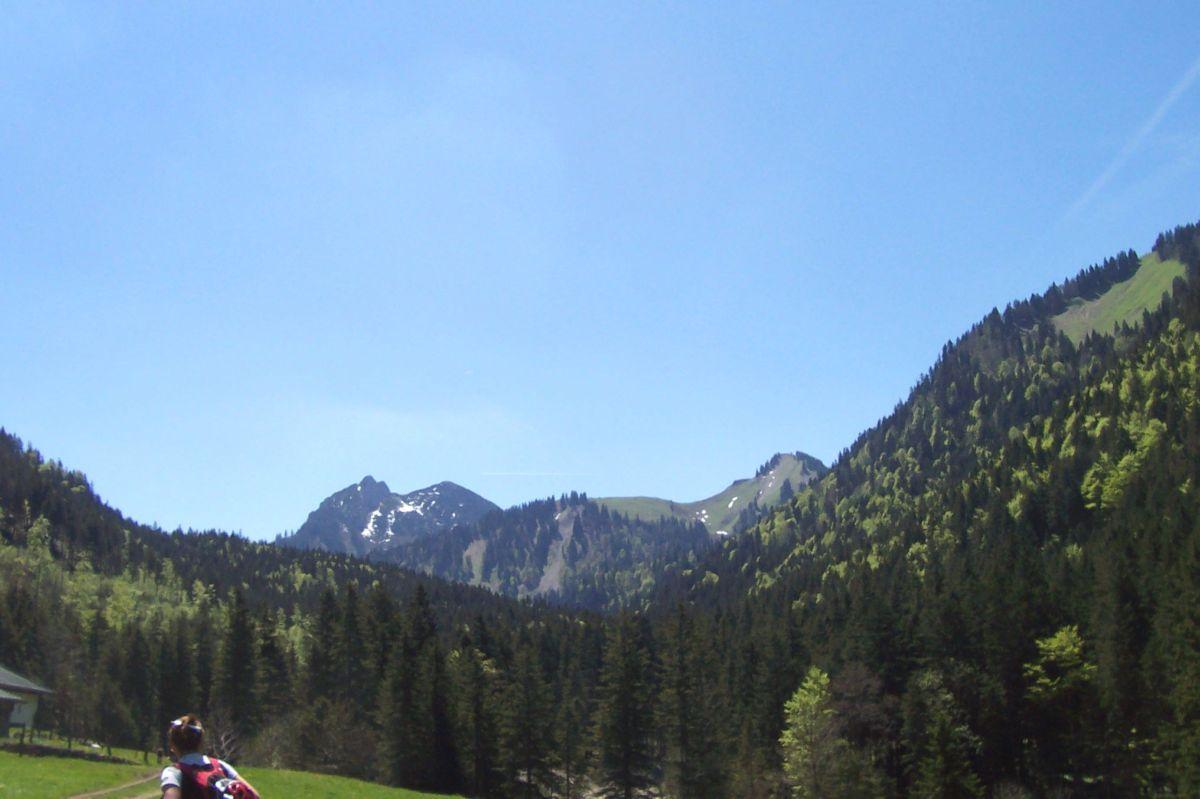 Bild vergr&ouml;ssern