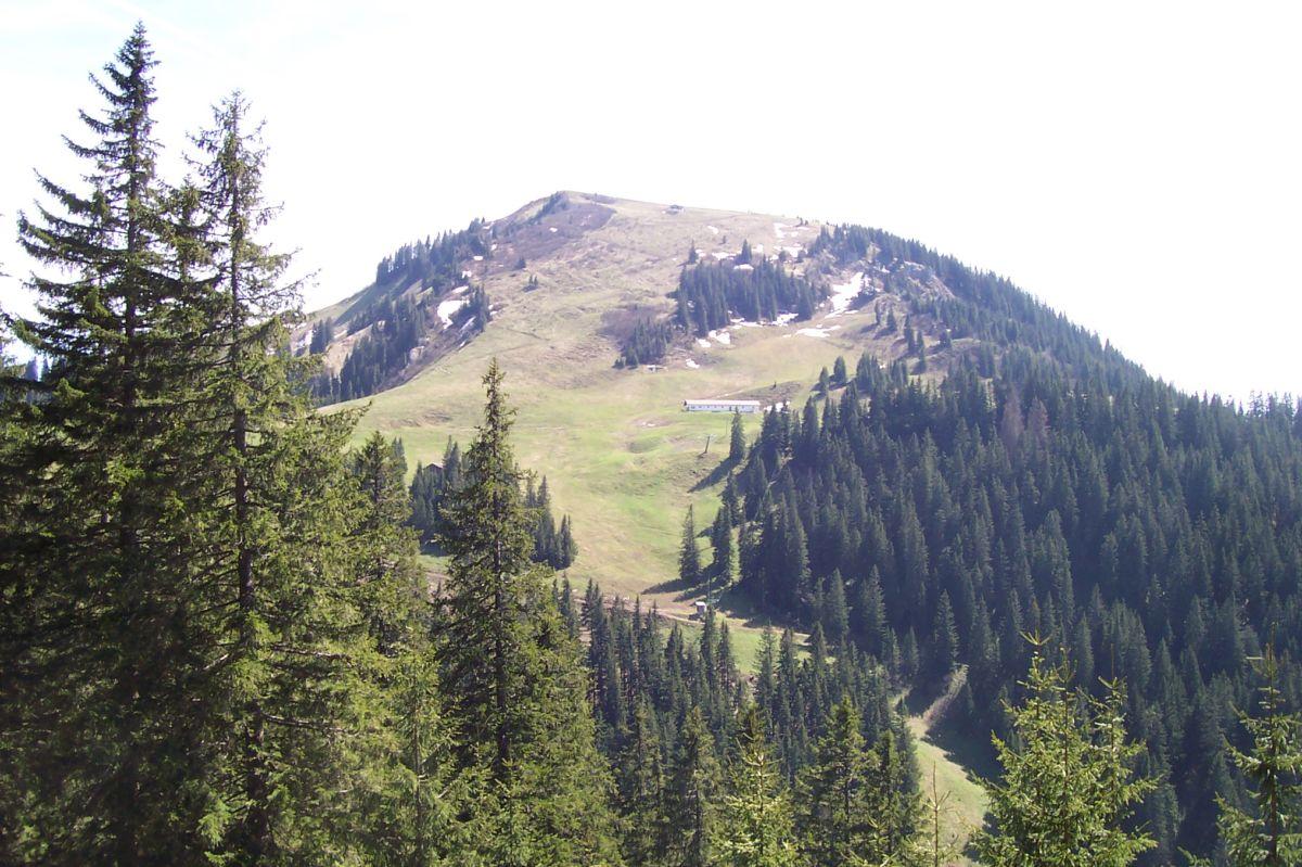 Bild vergr&ouml;ssern